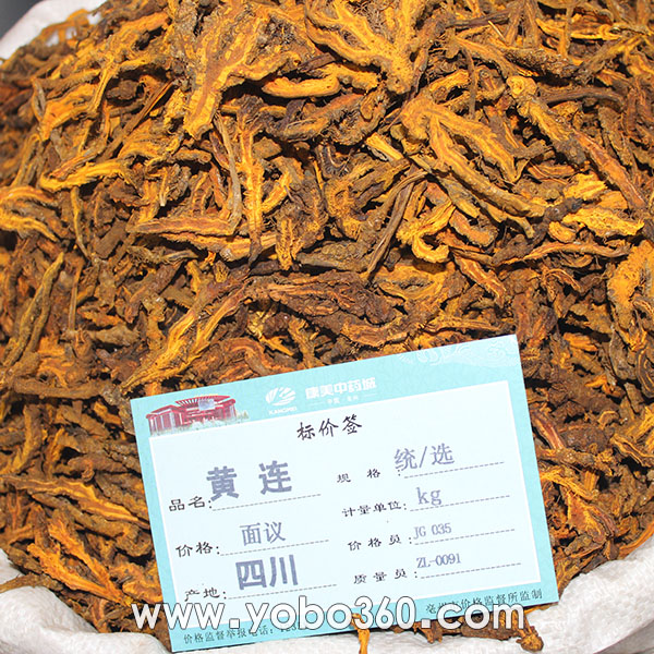 黄连 统/选 四川 清热燥湿 泻火解毒