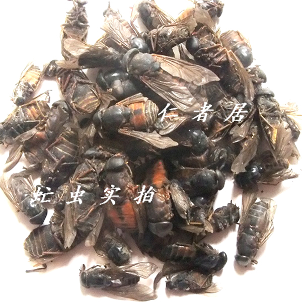 牛虻虫 统陕西大货 