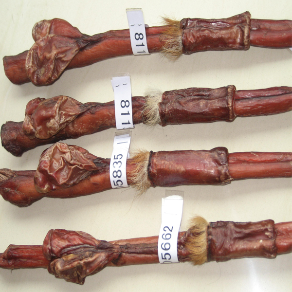 鹿鞭 个 统选 东北壮元阳，补气血，益精髓，强筋骨