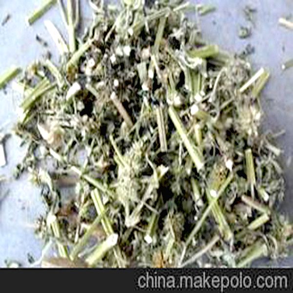 蒲公英 优质价廉 清热解毒 利尿散结