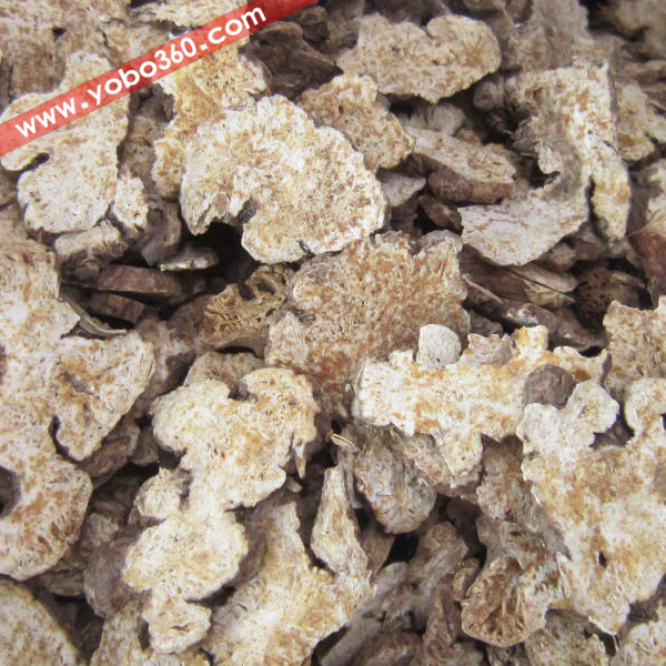 苍术 片个 优质大货 降低血糖 健胃 利尿