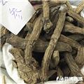 玄参 个子 优质大货 凉血滋阴 泻火解毒