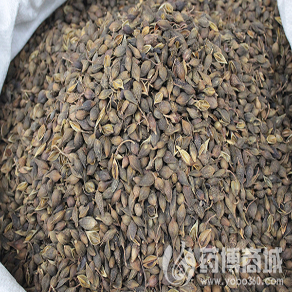 青翘  大货 价格优廉 清热解毒 消肿散结
