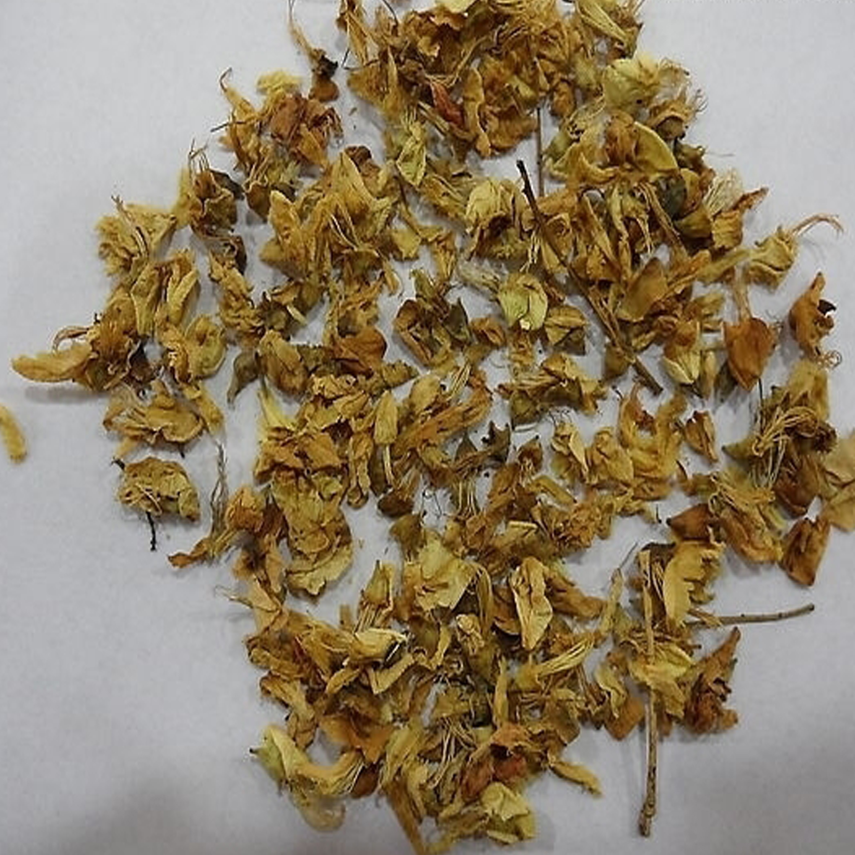 槐花 优质大货 凉血止血 清肝泻火