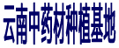 药博商城云南中药材种植基地