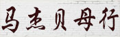 马杰贝母行