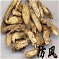 甘肃防风原产地大货