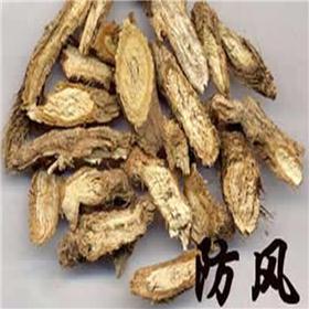 甘肃防风原产地大货