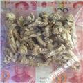 当归头  甘肃陇西原产地