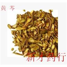 黄芩