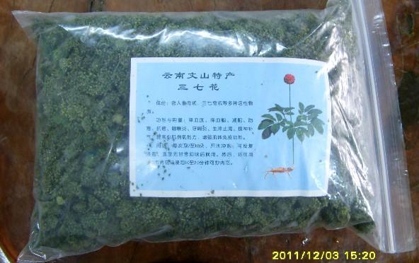 三七花五加科人参属植物三七