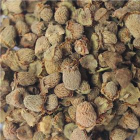 覆盆子 小统 益肾 固精 缩尿 优质大货