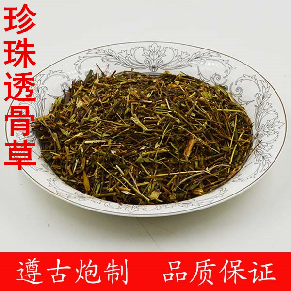 珍珠透骨草