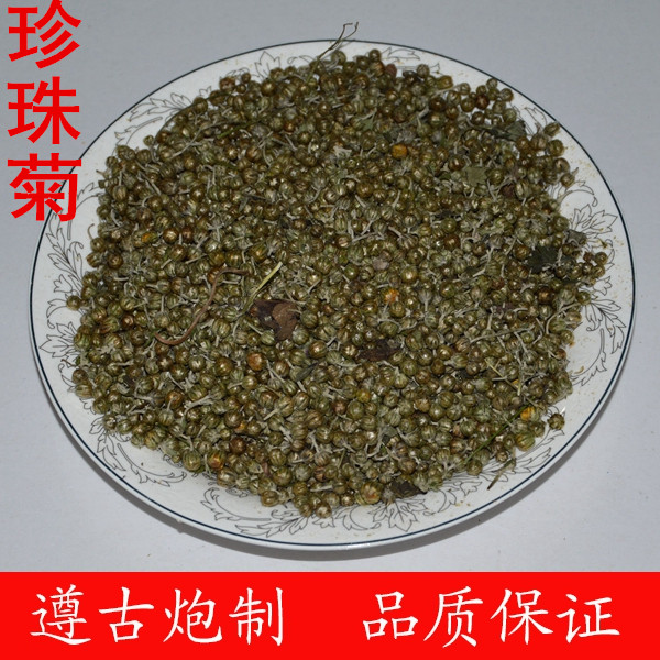 珍珠菊