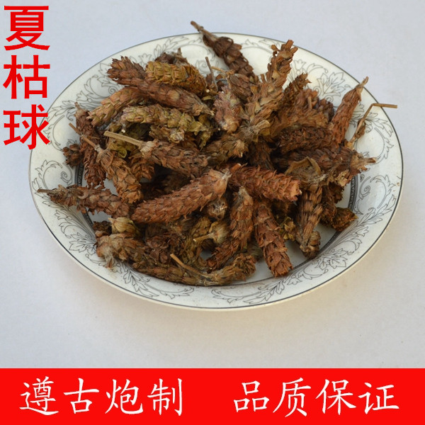 夏枯球
