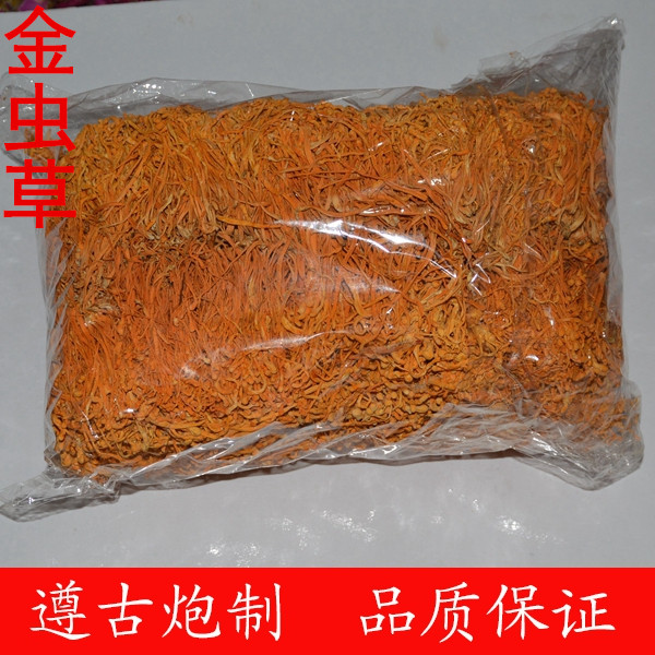 金虫草
