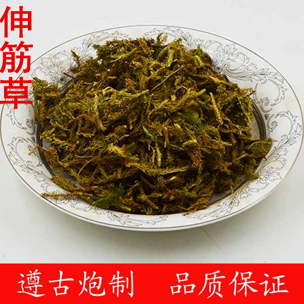 伸筋草
