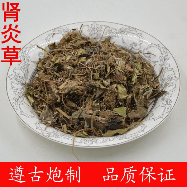 肾炎草