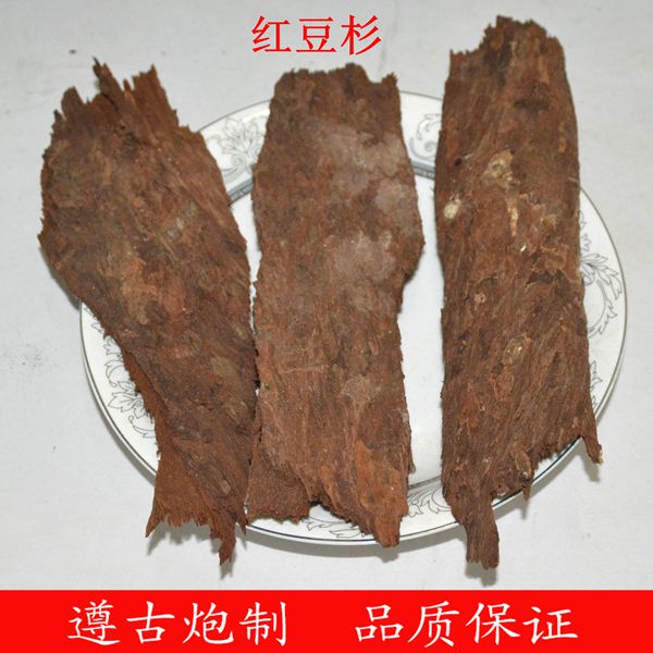 红豆杉