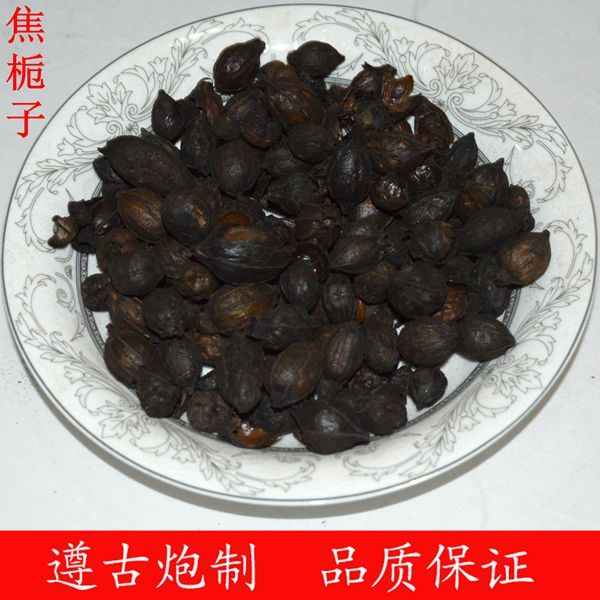 焦栀子