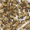 菊花 大货 质优价廉 散风清热 平肝明目