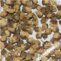 菊花 大货 质优价廉 散风清热 平肝明目