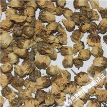 菊花 大货 质优价廉..