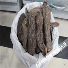 硬大芸.管花大芸