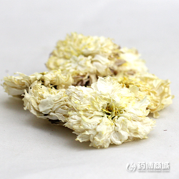 特级精品贡菊