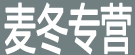 麦冬专营
