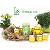 绿知色--天然茉莉花茶