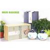 绿知色--极品绞股蓝茶