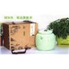 中国龙系列--极品皇菊