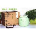 中国龙系列--极品皇菊