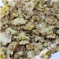 菊花小花 山西 大货供应 散风清热 平肝明目