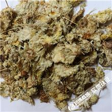 菊花大花 山西 产地..