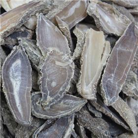 麻郁金 广西 片子 大货供应 行气化瘀 清心解郁