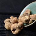 土贝母 质优 大货 清热润肺 化痰止咳