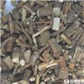 柴胡 甘肃