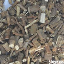 柴胡 甘肃