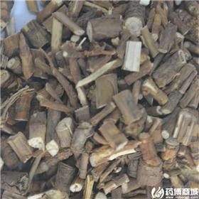 柴胡 甘肃