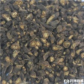 黑柴胡
