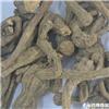 信前胡 个 统