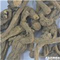 信前胡 个 统