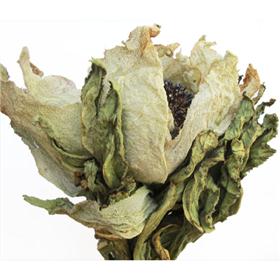 静明药业 雪莲花 壮阳 调经 止血 优质 名贵