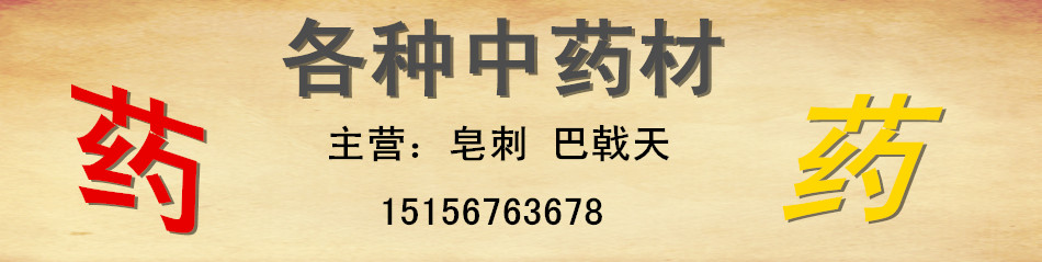 文博皂刺专营
