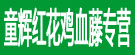 童辉红花鸡血藤专营