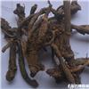 羌活 统货 个子