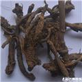 羌活 统货 个子
