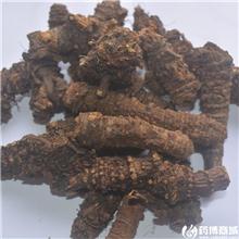 蚕羌